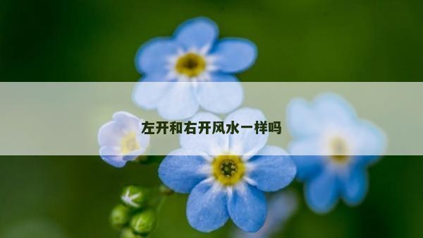 左开和右开风水一样吗