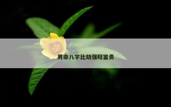 男命八字比劫强旺富贵