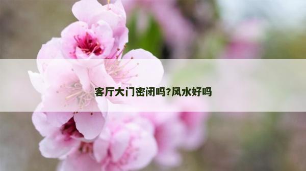 客厅大门密闭吗?风水好吗