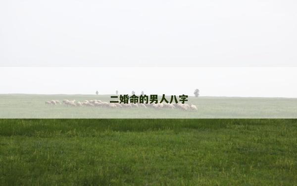 二婚命的男人八字