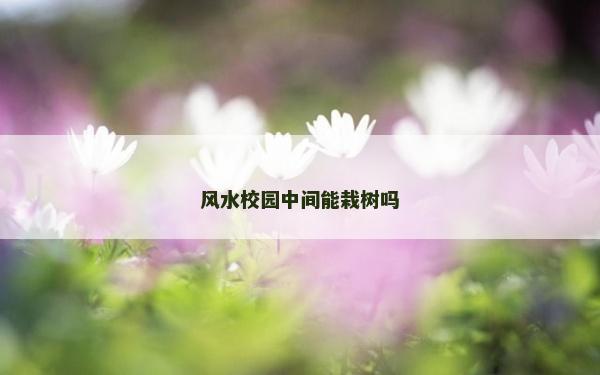 风水校园中间能栽树吗