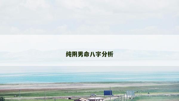 纯阴男命八字分析