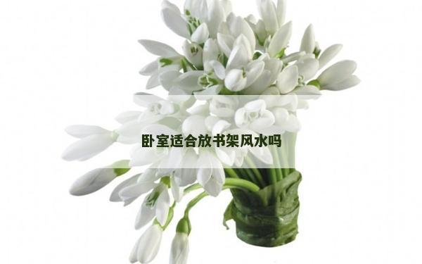 卧室适合放书架风水吗