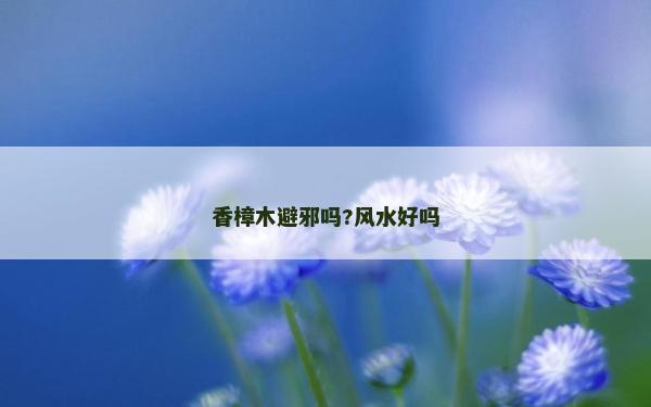 香樟木避邪吗?风水好吗