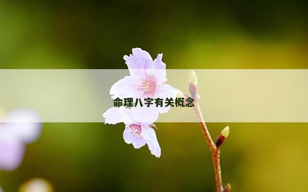 命理八字有关概念