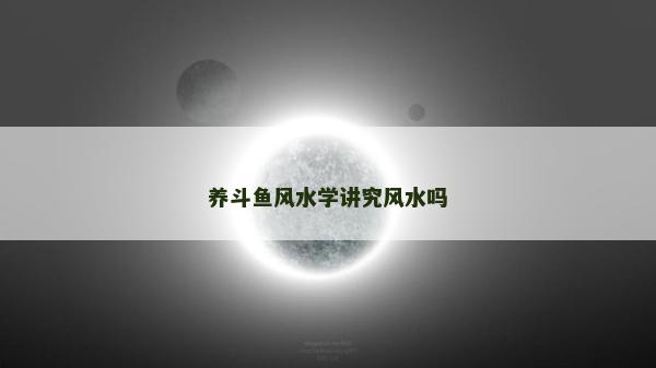 养斗鱼风水学讲究风水吗