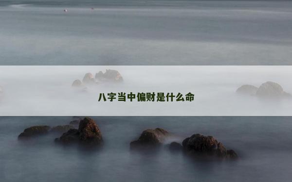 八字当中偏财是什么命
