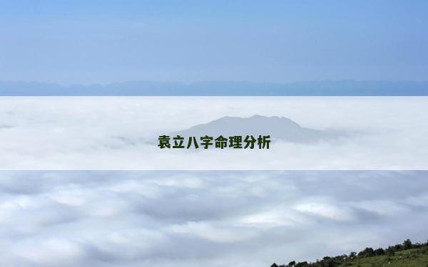 袁立八字命理分析