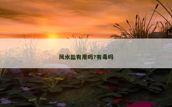 风水盐有用吗?有毒吗