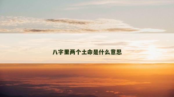 八字里两个土命是什么意思