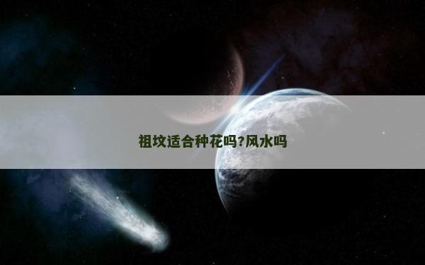 祖坟适合种花吗?风水吗