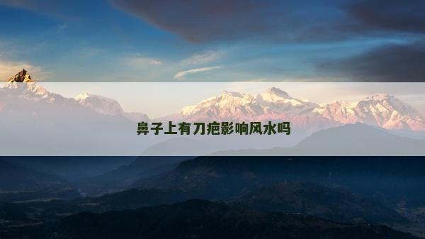鼻子上有刀疤影响风水吗