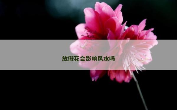 放假花会影响风水吗