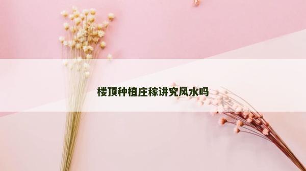 楼顶种植庄稼讲究风水吗