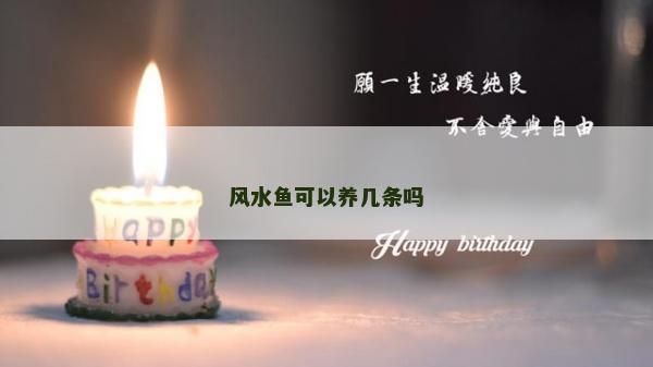 风水鱼可以养几条吗