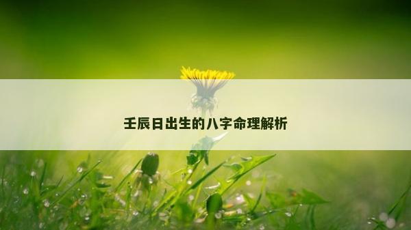 壬辰日出生的八字命理解析