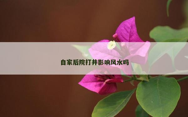 自家后院打井影响风水吗
