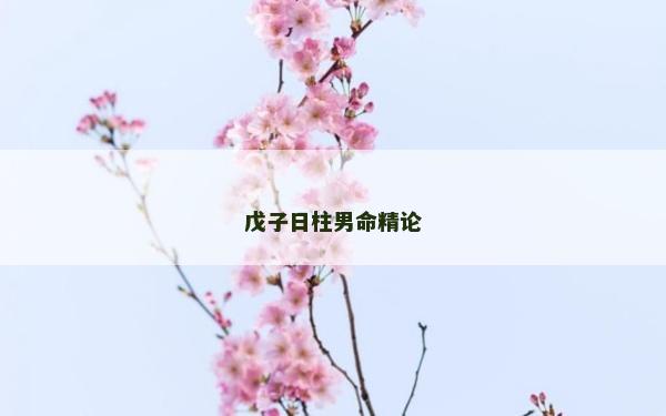戊子日柱男命精论