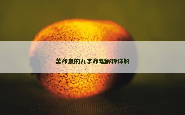苦命鼠的八字命理解释详解