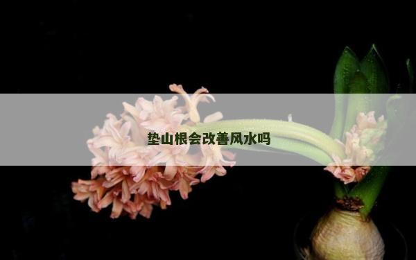 垫山根会改善风水吗
