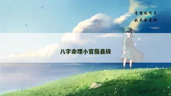 八字命理小官指县级