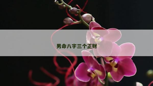 男命八字三个正财