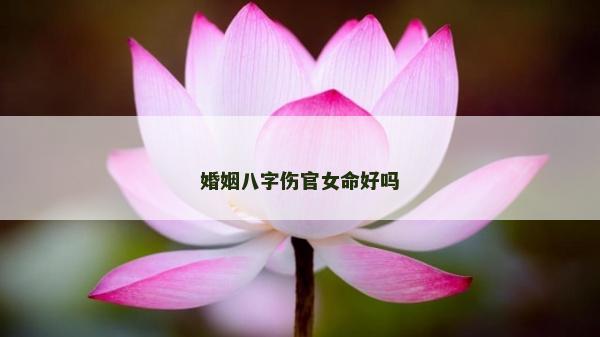 婚姻八字伤官女命好吗