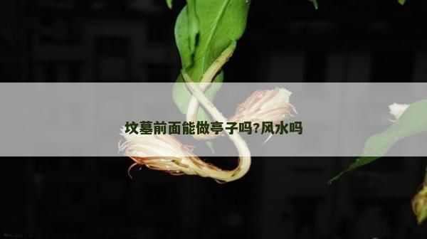 坟墓前面能做亭子吗?风水吗