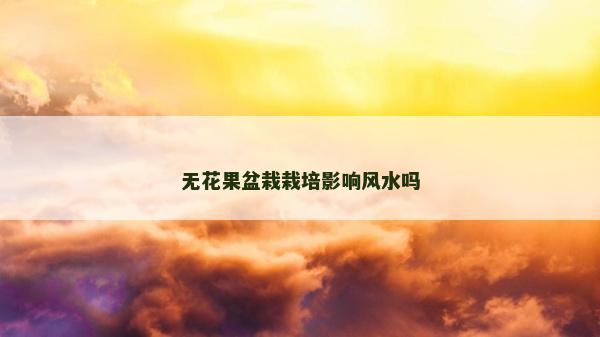 无花果盆栽栽培影响风水吗