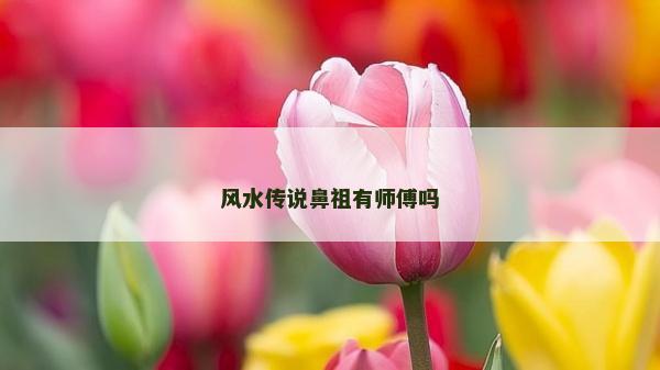 风水传说鼻祖有师傅吗