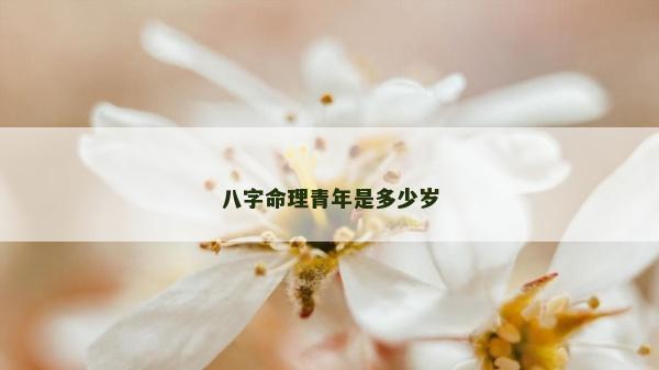 八字命理青年是多少岁