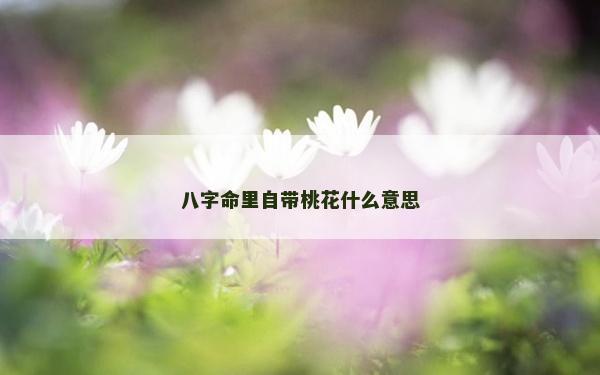 八字命里自带桃花什么意思