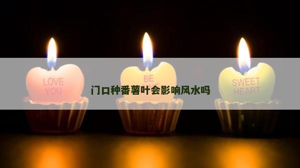 门口种番薯叶会影响风水吗