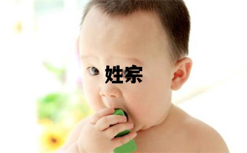 姓宗叫什么名字好 姓宗的男孩洋气的名字