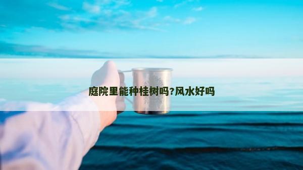 庭院里能种桂树吗?风水好吗