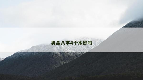 男命八字4个木好吗