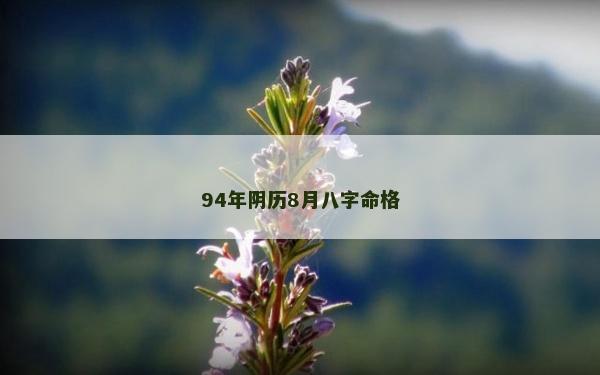 94年阴历8月八字命格