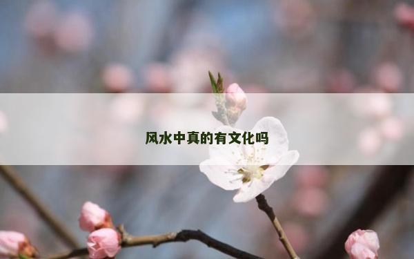 风水中真的有文化吗