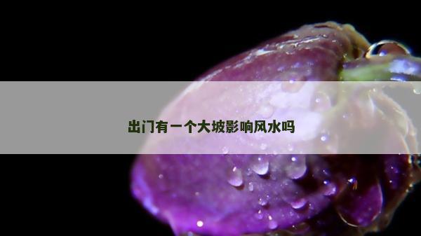 出门有一个大坡影响风水吗