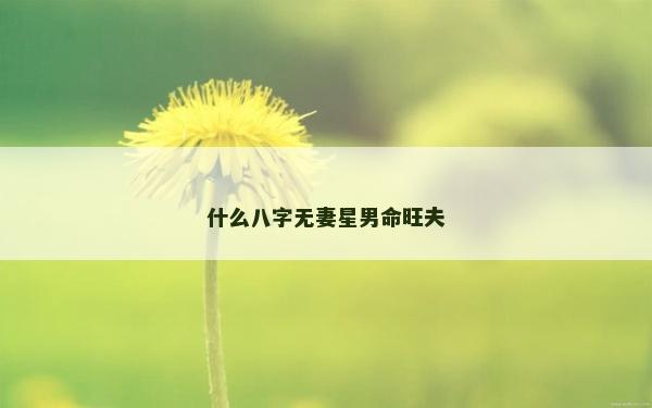 什么八字无妻星男命旺夫