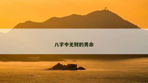 八字中无财的男命