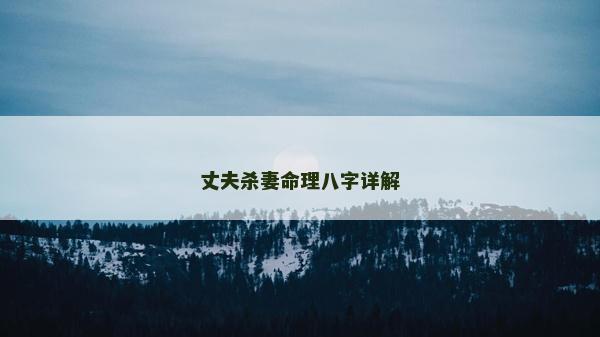 丈夫杀妻命理八字详解