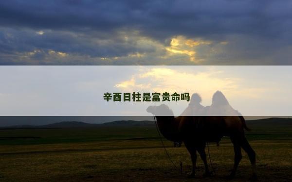 辛酉日柱是富贵命吗