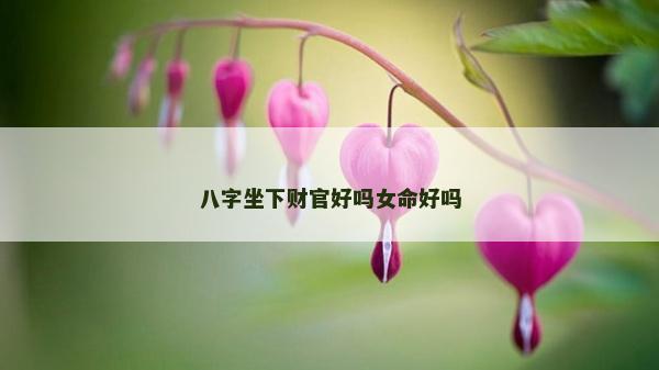 八字坐下财官好吗女命好吗