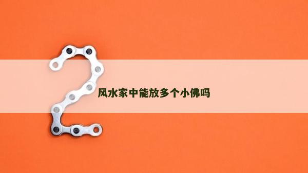 风水家中能放多个小佛吗