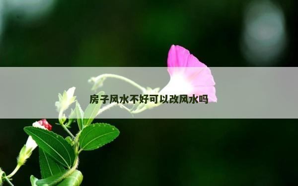 房子风水不好可以改风水吗