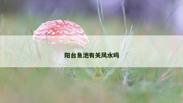 阳台鱼池有关风水吗