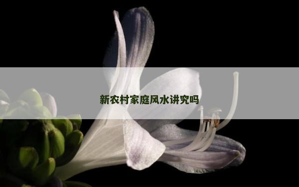 新农村家庭风水讲究吗