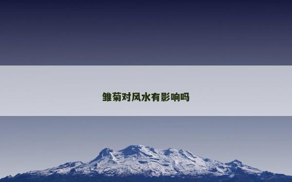雏菊对风水有影响吗