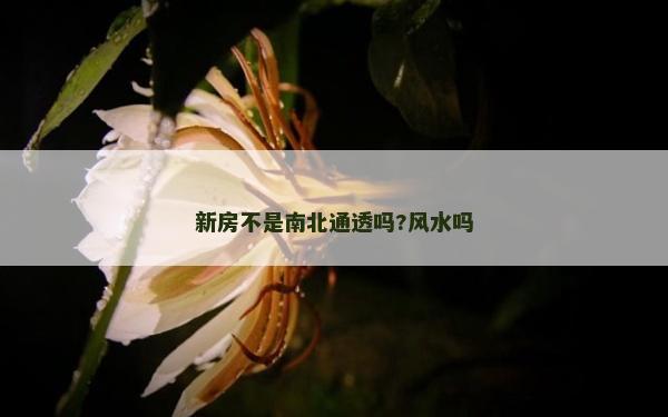 新房不是南北通透吗?风水吗